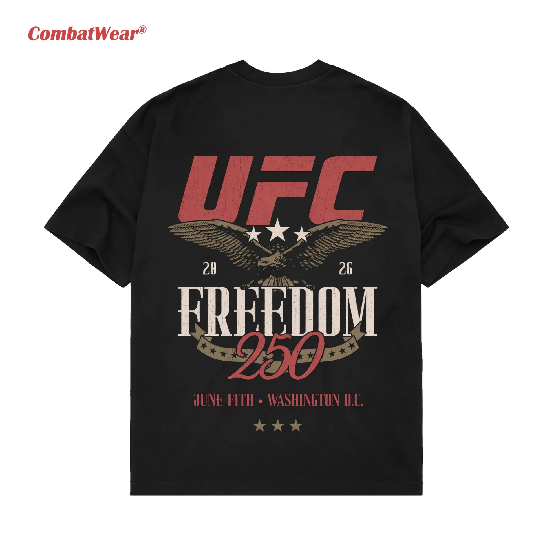 Men's Black UFC Freedom 250 Stars T-Shirt gallery image 4