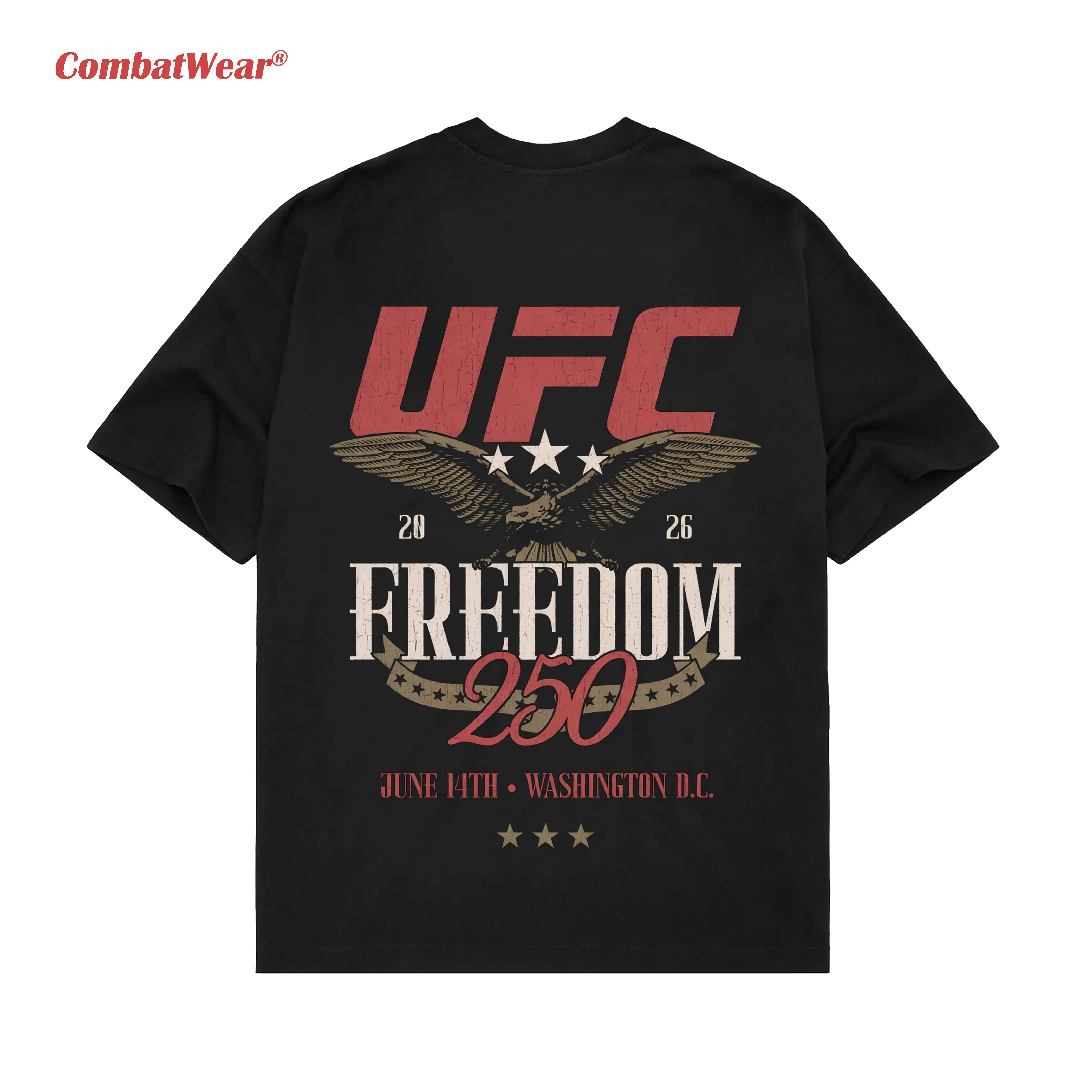 Men's Black UFC Freedom 250 Stars T-Shirt gallery image 4